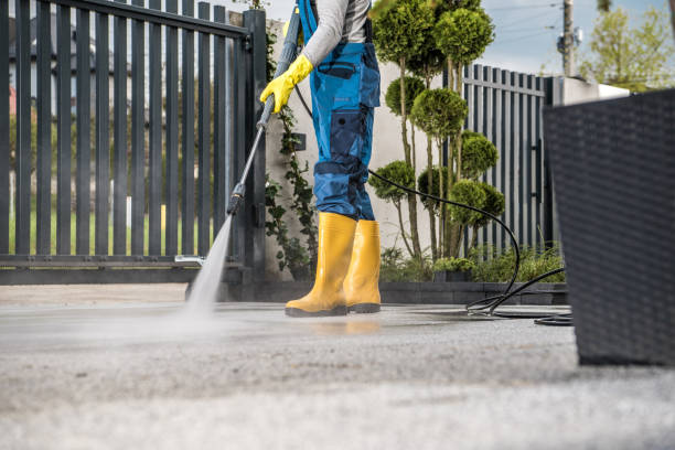 Best Driveway Pressure Washing  in West Alexandria, OH